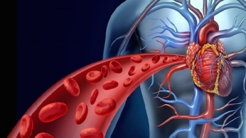 Cà chua trái cây giúp giảm Cholesterol