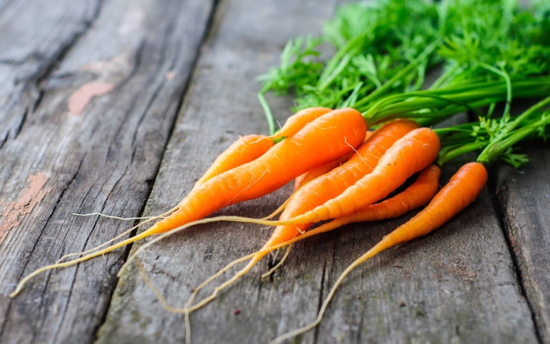 Ăn nhiều cà rốt giúp phôi thai phát triển an toàn, khỏe mạnh