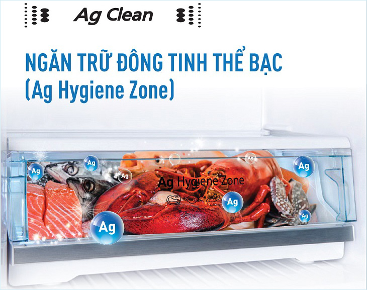 Ngăn trữ đông tinh thể bạc Ag Hygiene Zone