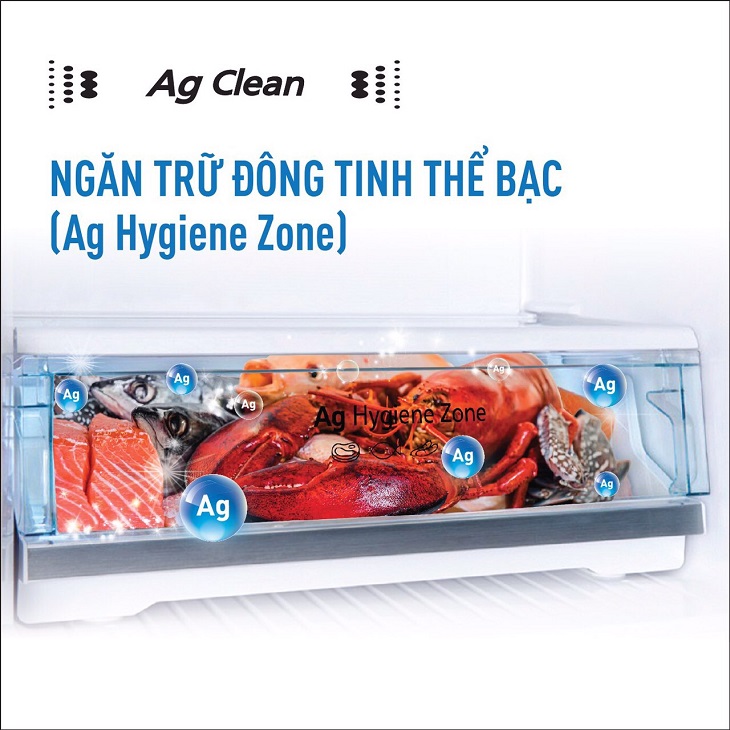 Ngăn trữ đông tinh thể bạc Ag Hygiene Zone trên Tủ lạnh Panasonic Inverter 326 lít NR-TL351VGMV