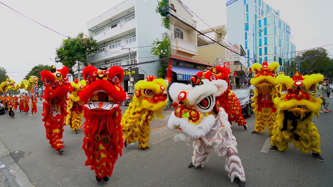 Múa lân sư rồng là một màn trình diễn vô cùng đặc sắc và hấp dẫn. Những điệu nhảy xoay quanh và khéo léo của những vũ công múa lân sư rồng sẽ khiến bạn thích thú và không thể rời mắt khỏi hình ảnh này. Hãy cùng xem chúng ta sẽ được tận hưởng điều gì trong tiết mục múa lân sư rồng này nhé!