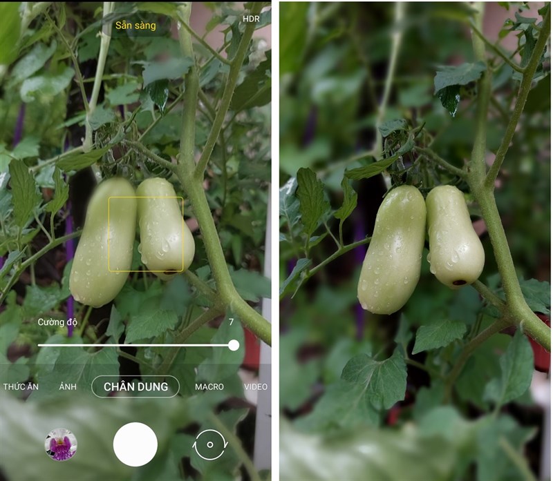 Galaxy A72 Galaxy A72