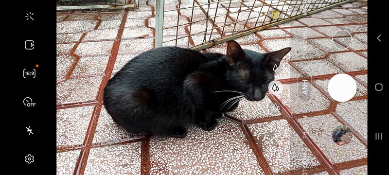 Galaxy A72 Galaxy A72