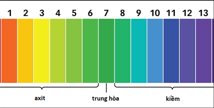 Lắp đặt máy lọc nước điện giải ion kiềm cần nguồn nước như thế nào? > Thang đo độ pH trong nước