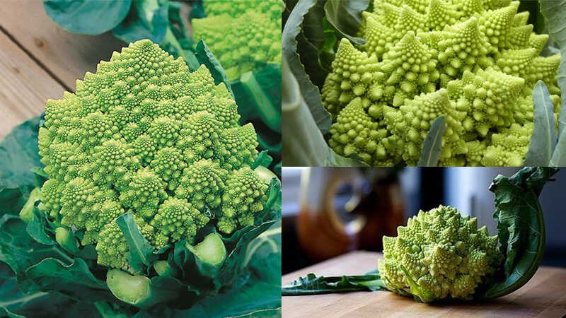 What is Coral Cauliflower (Romanesco Broccoli)? Uses, cooking methods, where to buy?