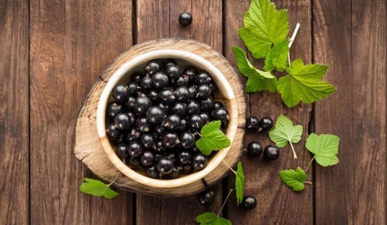 Quả lý chua đen là gì? Vị như thế nào? Tác dụng của quả lý chua đen?