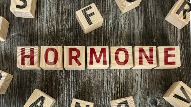 Quả mít giúp điều hòa hormone trong cơ thể