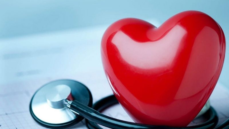 Tinh dầu thông đỏ hỗ trợ tim mạch, điều hòa huyết áp