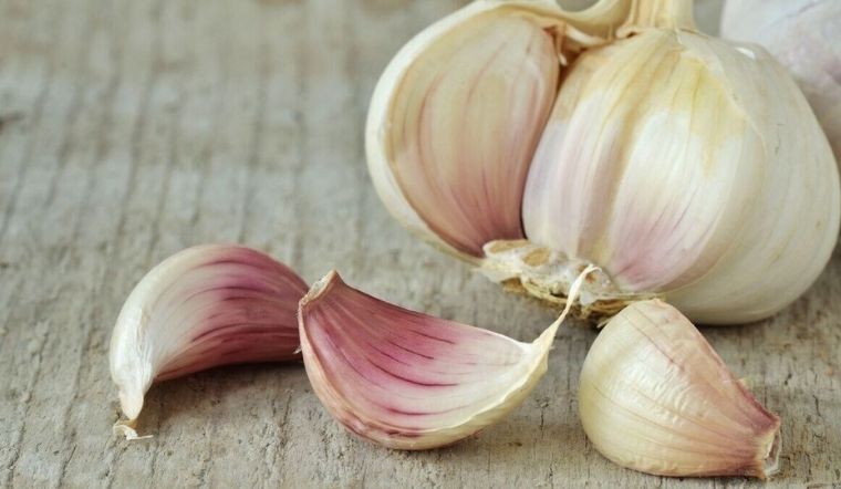 Tỏi có mấy loại? 6 loại tỏi phổ biến nhất ở Việt Nam