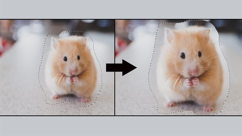 Cách thay đổi kích thước vùng chọn trong Photoshop
