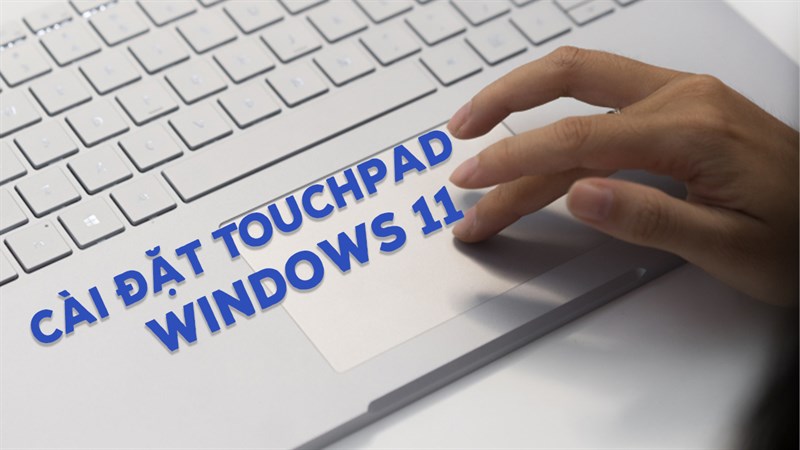 Cách chỉnh Touchpad trên Windows 11 để bạn sử dụng tiện lợi hơn Cách chỉnh Touchpad trên Windows 11 để bạn sử dụng tiện lợi hơn