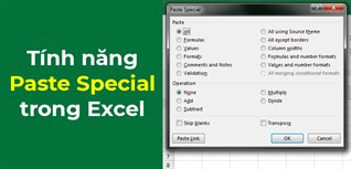 Có cách nào để paste giá trị (paste values) dựa trên một điều kiện nào đó trong Excel bằng VBA không?
