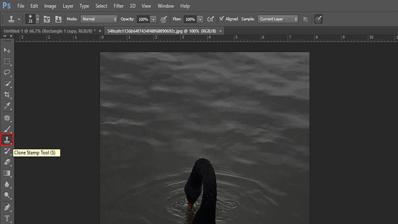 Cách xóa vùng chọn trong Photoshop