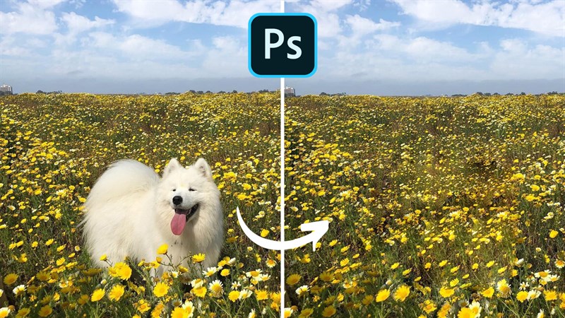 3 cách xóa vùng chọn trong Photoshop cực kỳ nhanh và dễ dàng cho bạn