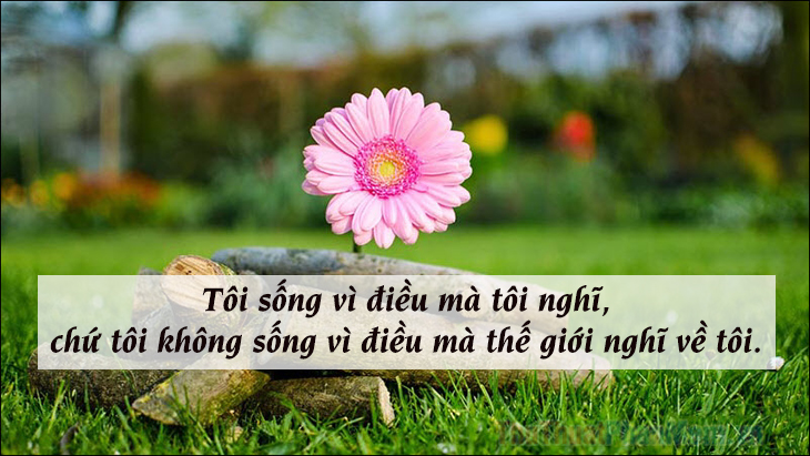 Những câu nói hay về giá trị của bản thân vượt qua mọi hoàn cảnh trong cuộc sống ý nghĩa Những câu nói hay về giá trị của bản thân vượt qua mọi hoàn cảnh trong cuộc sống ý nghĩa