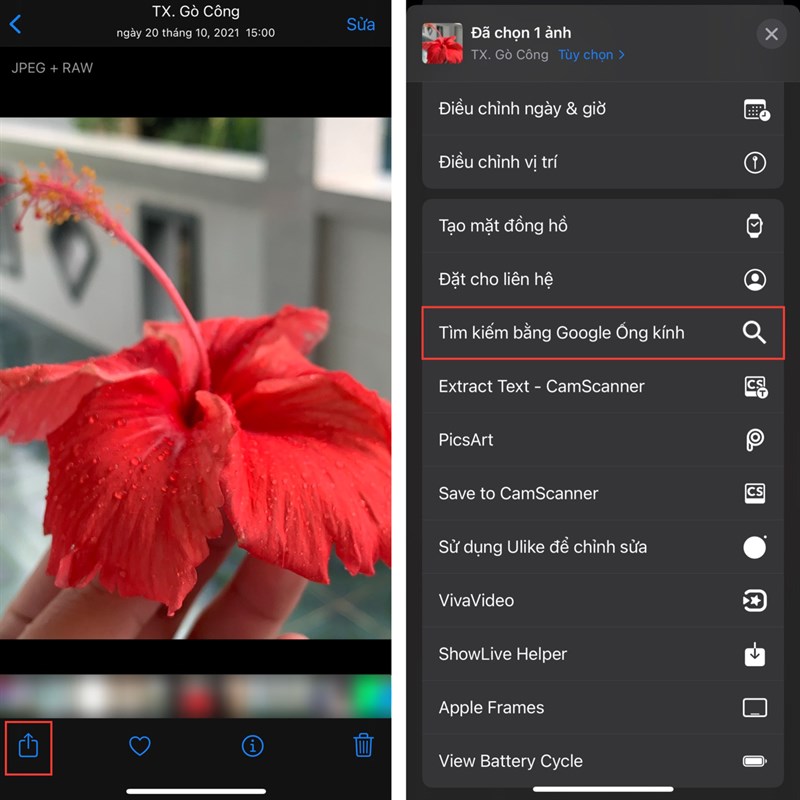Cách nhận biết các loài cây, loài hoa, loài chim