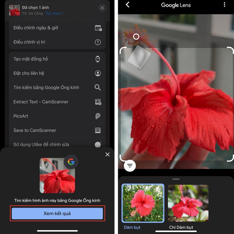 Cách nhận biết các loài cây, loài hoa, loài chim