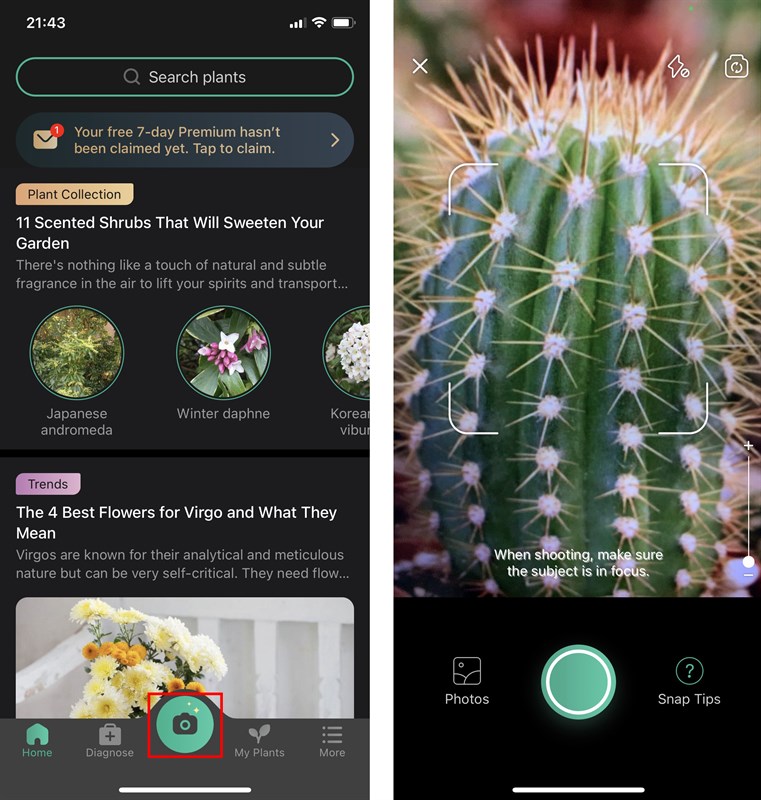 Cách nhận biết các loài cây, hoa, loài chim bằng điện thoại