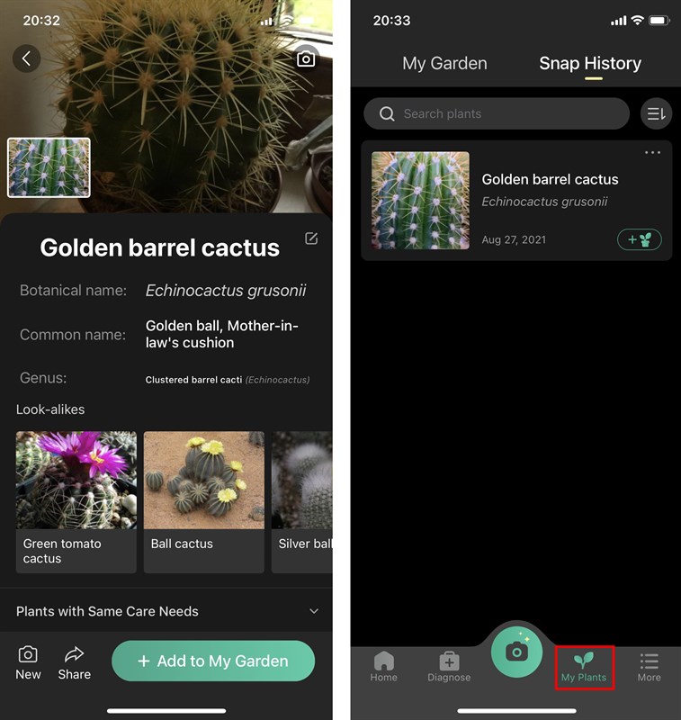 Cách nhận biết các loài cây, hoa, loài chim bằng điện thoại