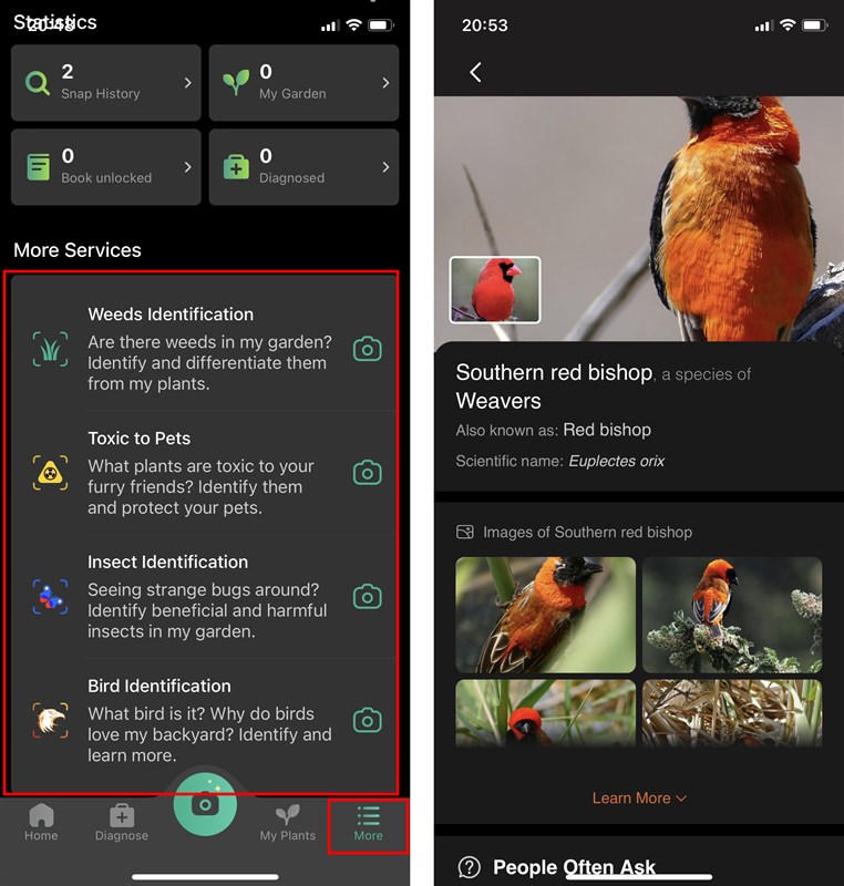 Cách nhận biết các loài cây, hoa, loài chim bằng điện thoại