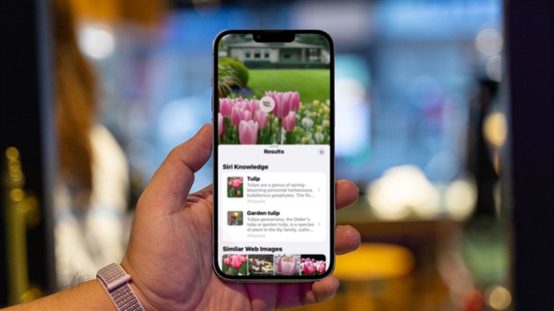 Cách nhận biết các loài cây, loài hoa, loài chim trên điện thoại 