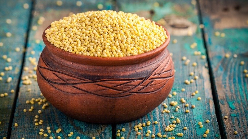 What is millet? Effects and how to use millet properly