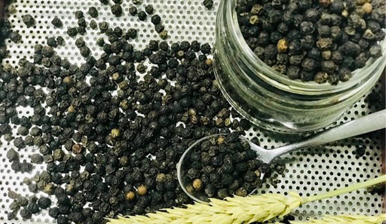 Giá tiêu hôm nay 30/8: Giá tăng cao, dao động khoảng 74.500 - 78.000 đồng/kg