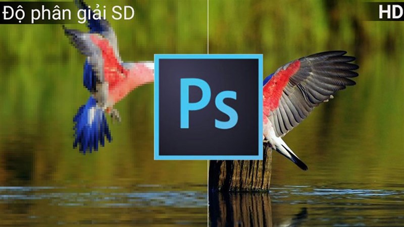 Cách tăng độ phân giải ảnh trong Photoshop