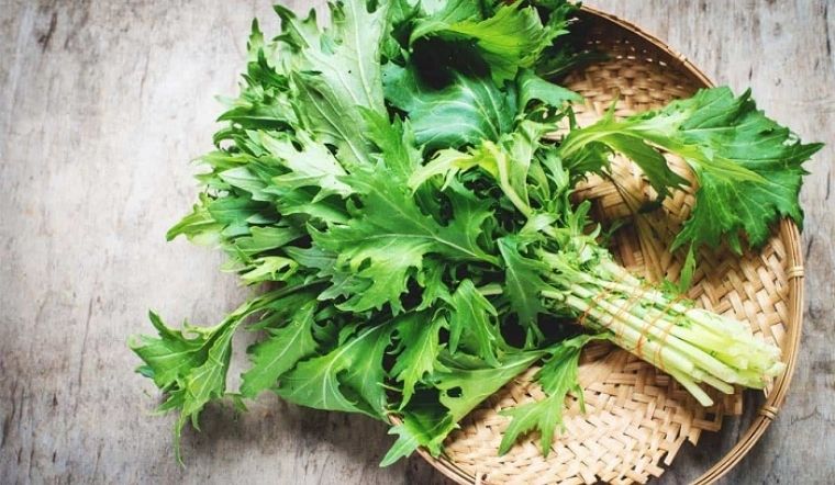  Cải đuôi phụng (rau mù tạt) là gì? 6 lợi ích sức khỏe của cải đuôi phụng