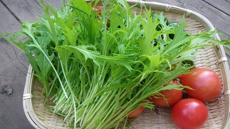 What is Cabbage (mustard)? 6 health benefits of fenugreek