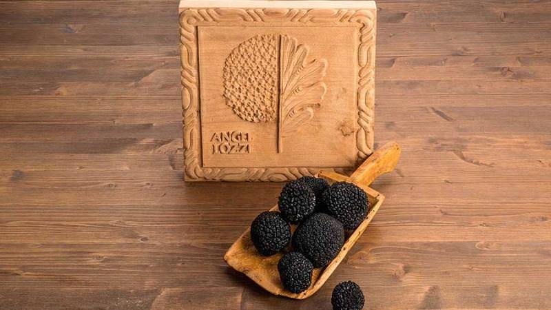 Nấm truffle đen mùa hè