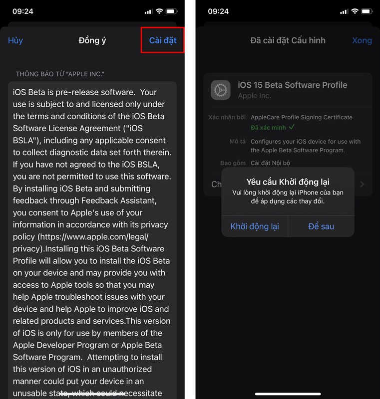 Cách cập nhật iOS 15 Beta 8