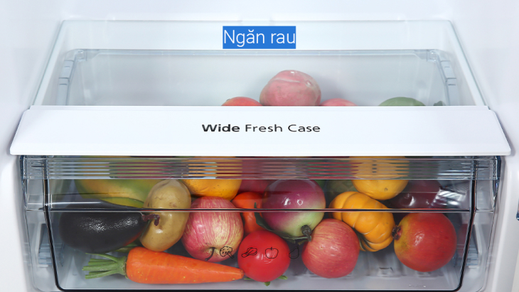 Ngăn rau quả lớn Wide Fresh Case với góc mở rộng tối đa