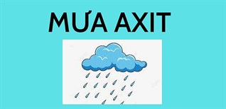 Mưa axit là gì? Tác hại của mưa axit đến đời sống bạn nên biết