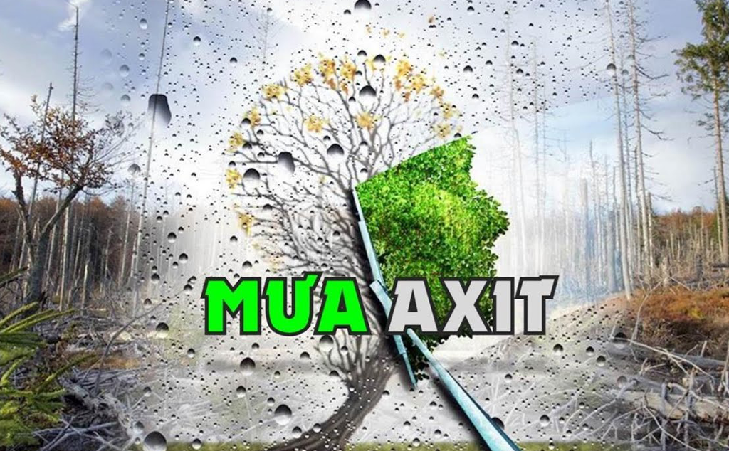 Mưa Axit La Gi Tac Hại Của Mưa Axit đến đời Sống Bạn Nen Biết