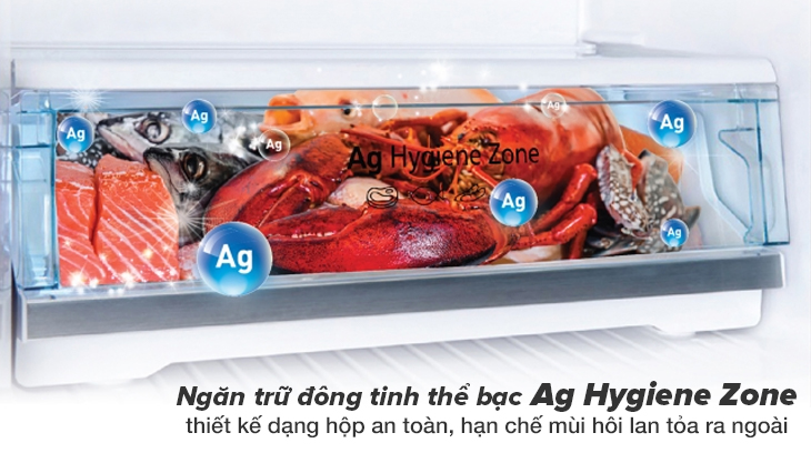 Ngăn trữ đông tinh thể bạc Ag Hygiene Zone với thiết kế dạng hộp an toàn, kín đáo