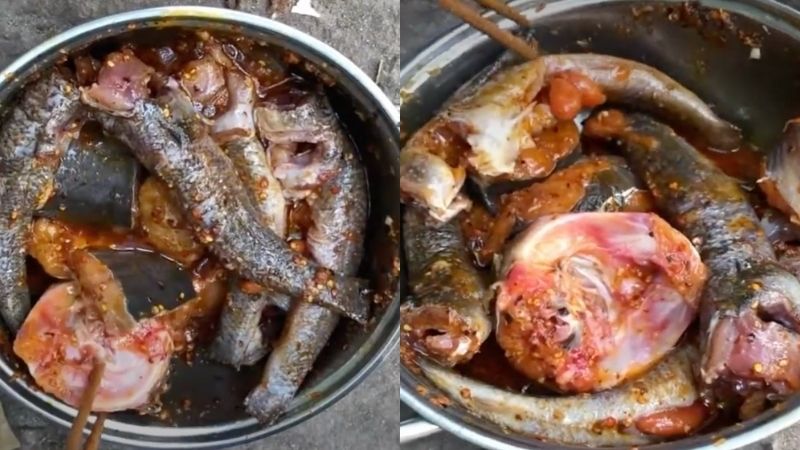 Rất hay cá ngát nấu món gì ngon 3 món ăn ngon từ cá ngát khiến bạn chẳng thể dừng đũa