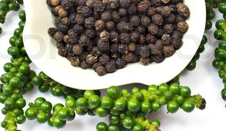 Giá tiêu hôm nay 4/9: Giảm sâu liên tục, thấp nhất 73.000 đồng/kg