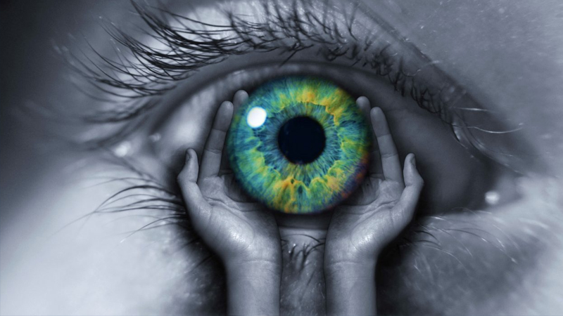 Trong multivitamin có những dưỡng chất cần thiết cho mắt khỏe mạnh