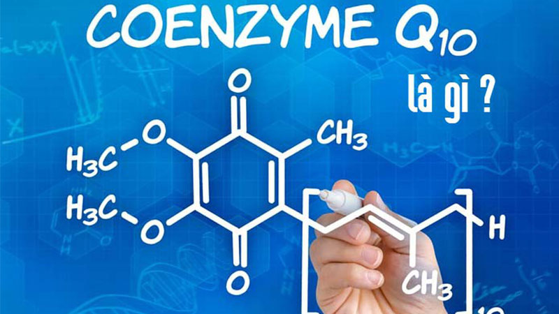 Coenzym Q10 là gì? Tác dụng, cách dùng, tác dụng phụ, thực phẩm chứa Coenzym Q10