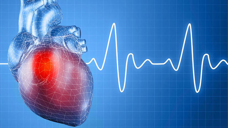 CoQ10 hỗ trợ điều trị suy tim