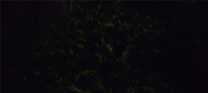 xiaomi_mix_4 xiaomi_mix_4