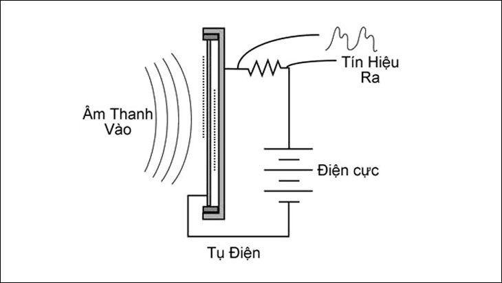 Micro Condenser là gì? Micro Dynamic là gì? Phân biệt micro Condenser và micro Dynamic