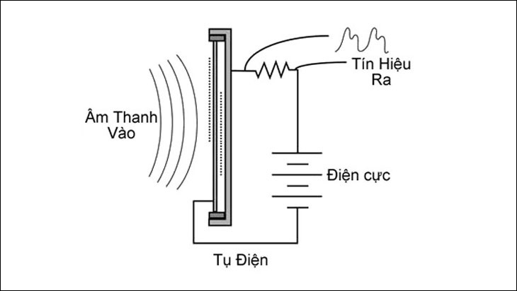 What is a condenser microphone? What is Micro Dynamic? Distinguishing Condenser microphones and Dynamic microphones