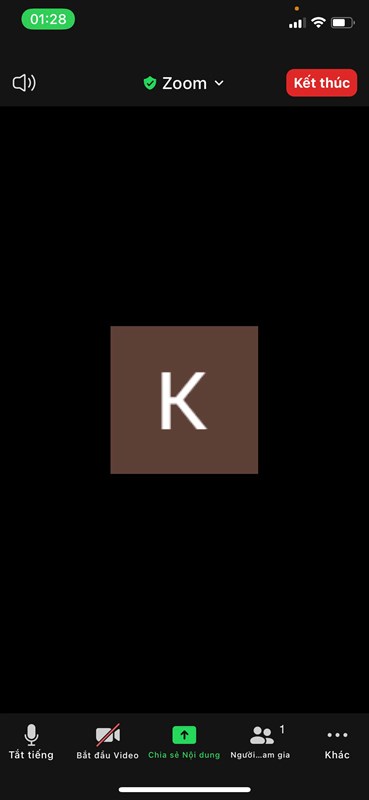 cách sử dụng Zoom