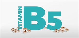 Tìm hiểu về vitamin b5 uống khi nào và cách nhận biết sớm