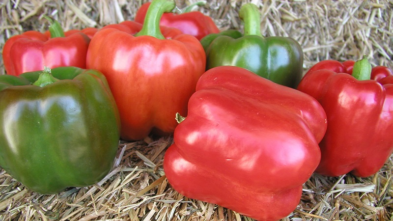 Một quả ớt chuông đỏ cỡ vừa (120g) chứa đến 0,349 mg vitamin B6