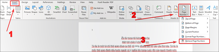 Bạn chọn ô Insert sau đó nhấp chọn Page Number và lựa chọn Remove Page Numbers.