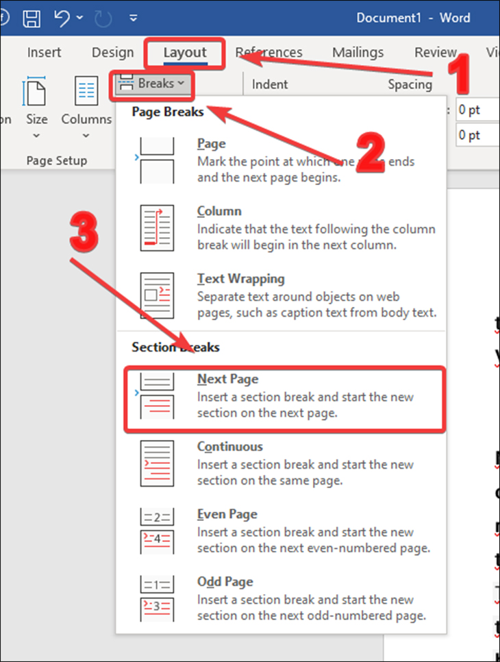 Bạn nhấp chuột vào Page Break tại mục Layout. Sau đó, bạn nhấp chọn Next Page.