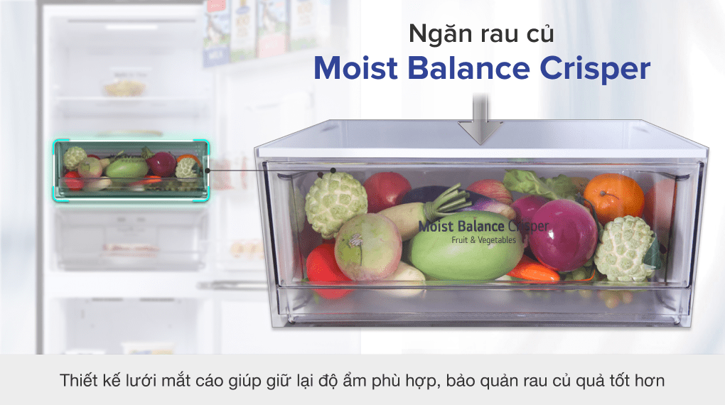 Moist Balance Crisper